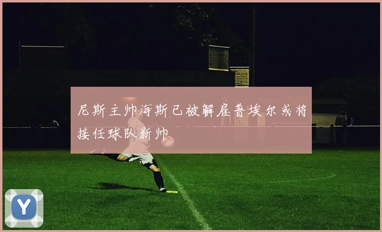 尼斯主帅海斯已被解雇普埃尔或将接任球队新帅