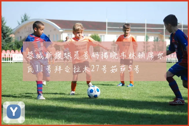 蓉城新援球员号码揭晓韦林顿席尔瓦11号拜合拉木27号茹萨5号