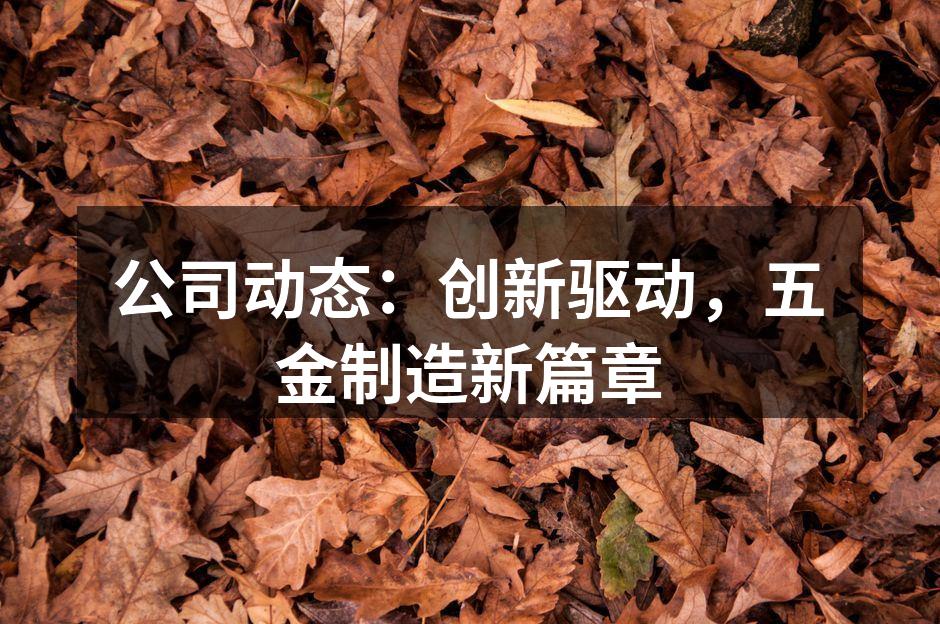 公司动态:创新驱动,五金制造新篇章