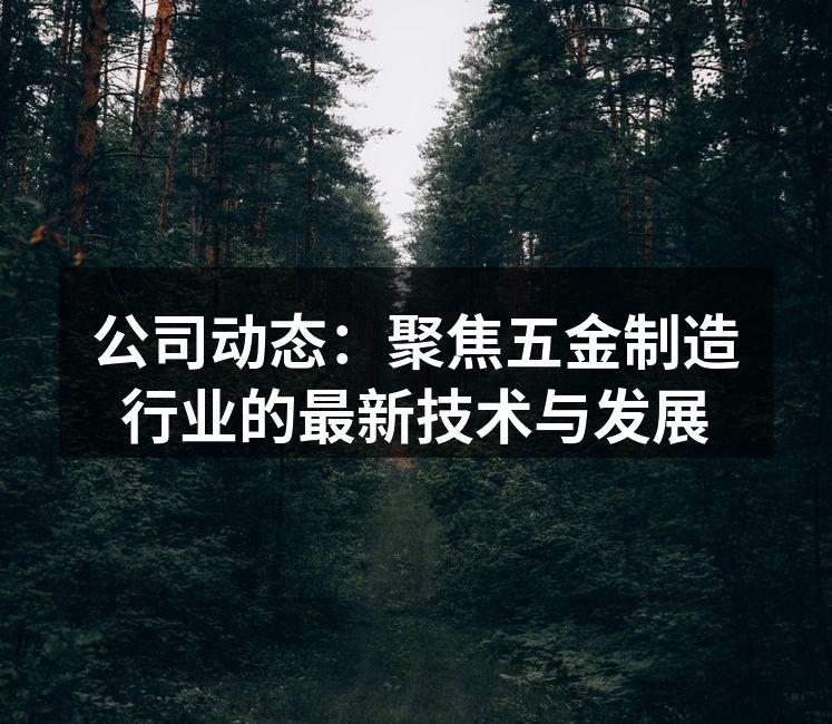 公司动态：聚焦五金制造行业的最新技术与发展